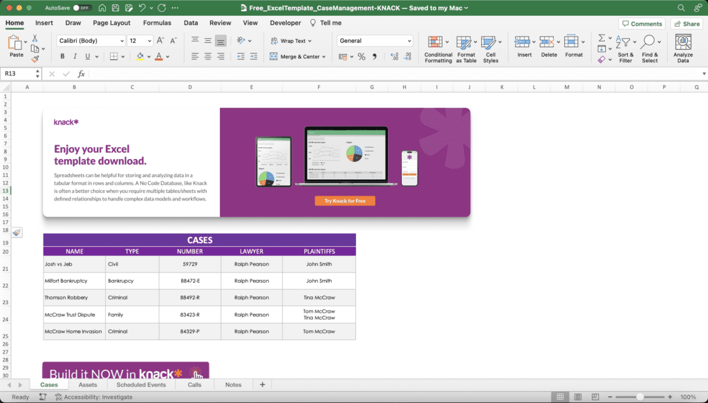 Case Management Spreadsheet Template