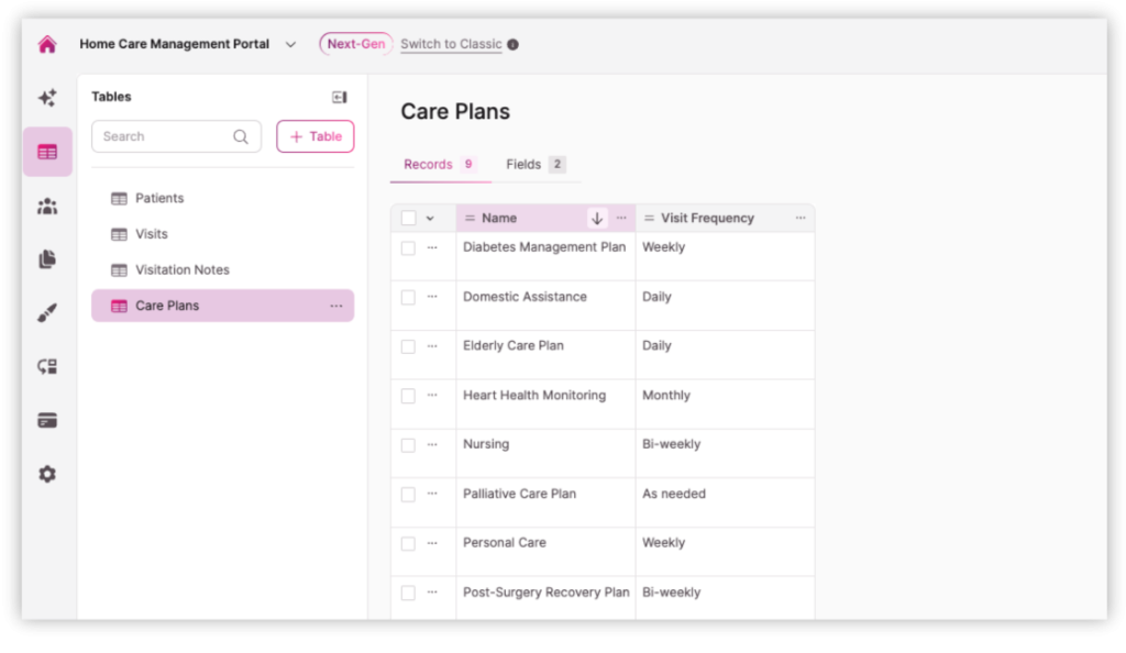 Template Screenshot Home Care Management - Care Plans