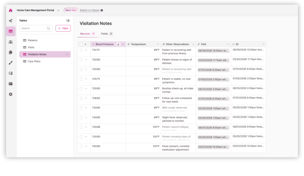 Template Screenshot Home Care Management - Visit Notes