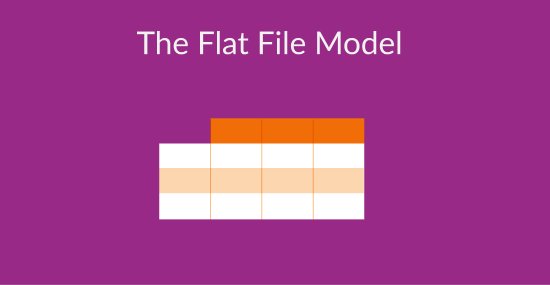 DatabaseSchemaExample_The Flat File Model