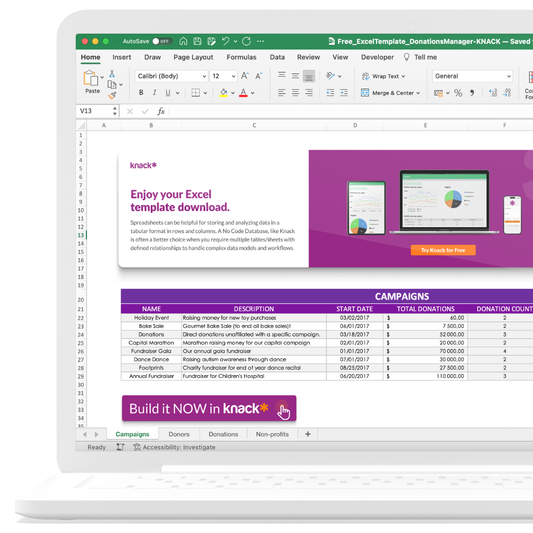 Donations Manager spreadsheet template