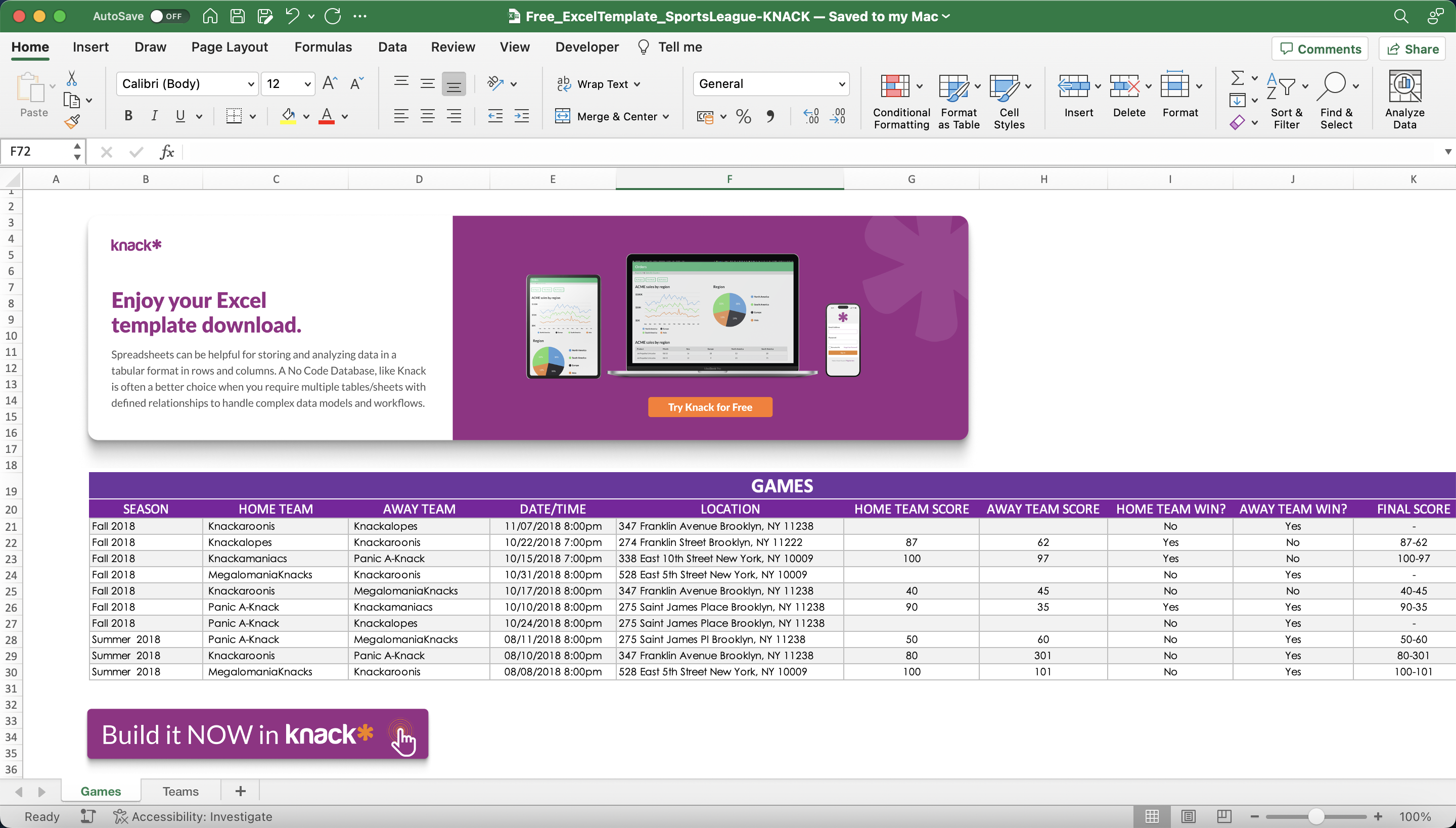 Sports League Excel Spreadsheet Template