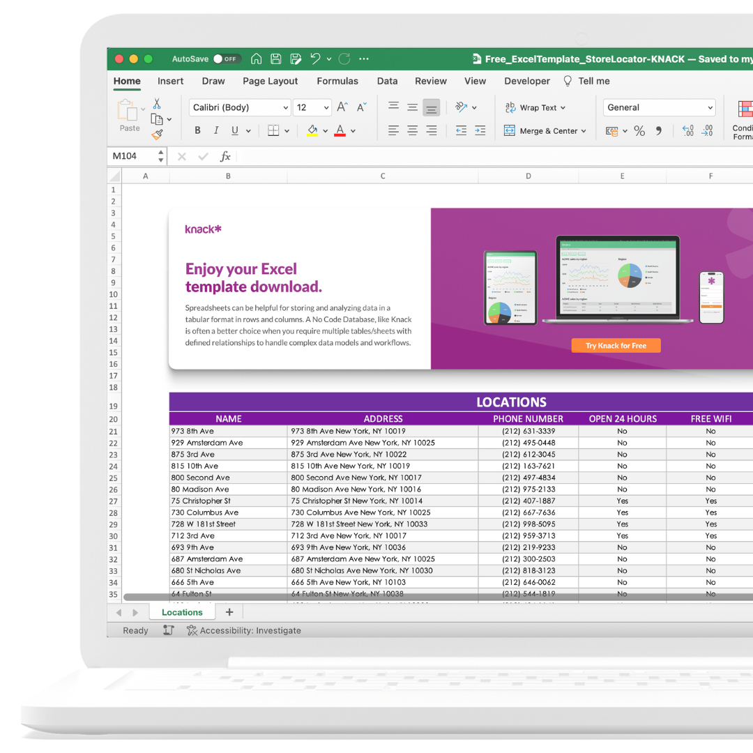 Microsoft Excel Spreadsheet for Store Location Tracking
