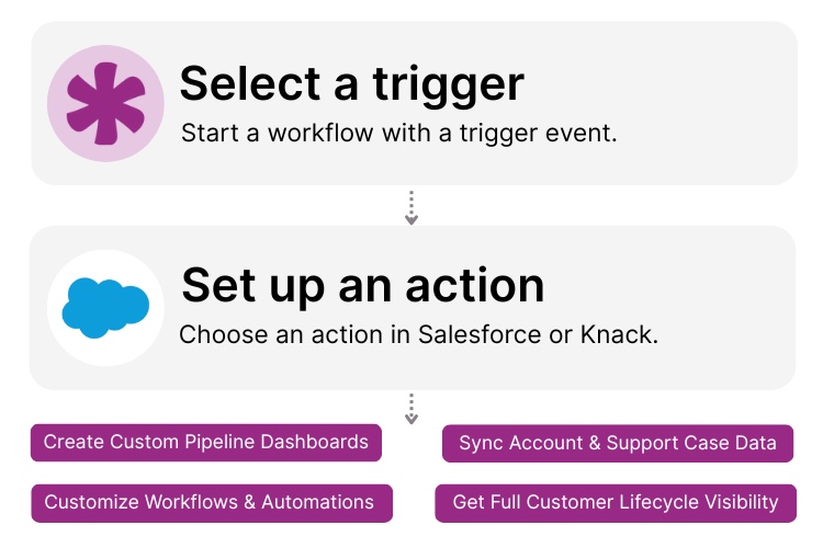 Salesforce Knack Integration